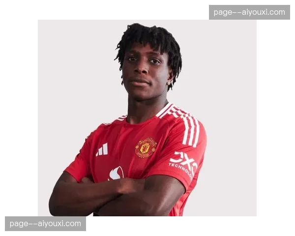 曼联新援多尔古加盟后即遭脚踝扭伤，至今未完成正式比赛首秀